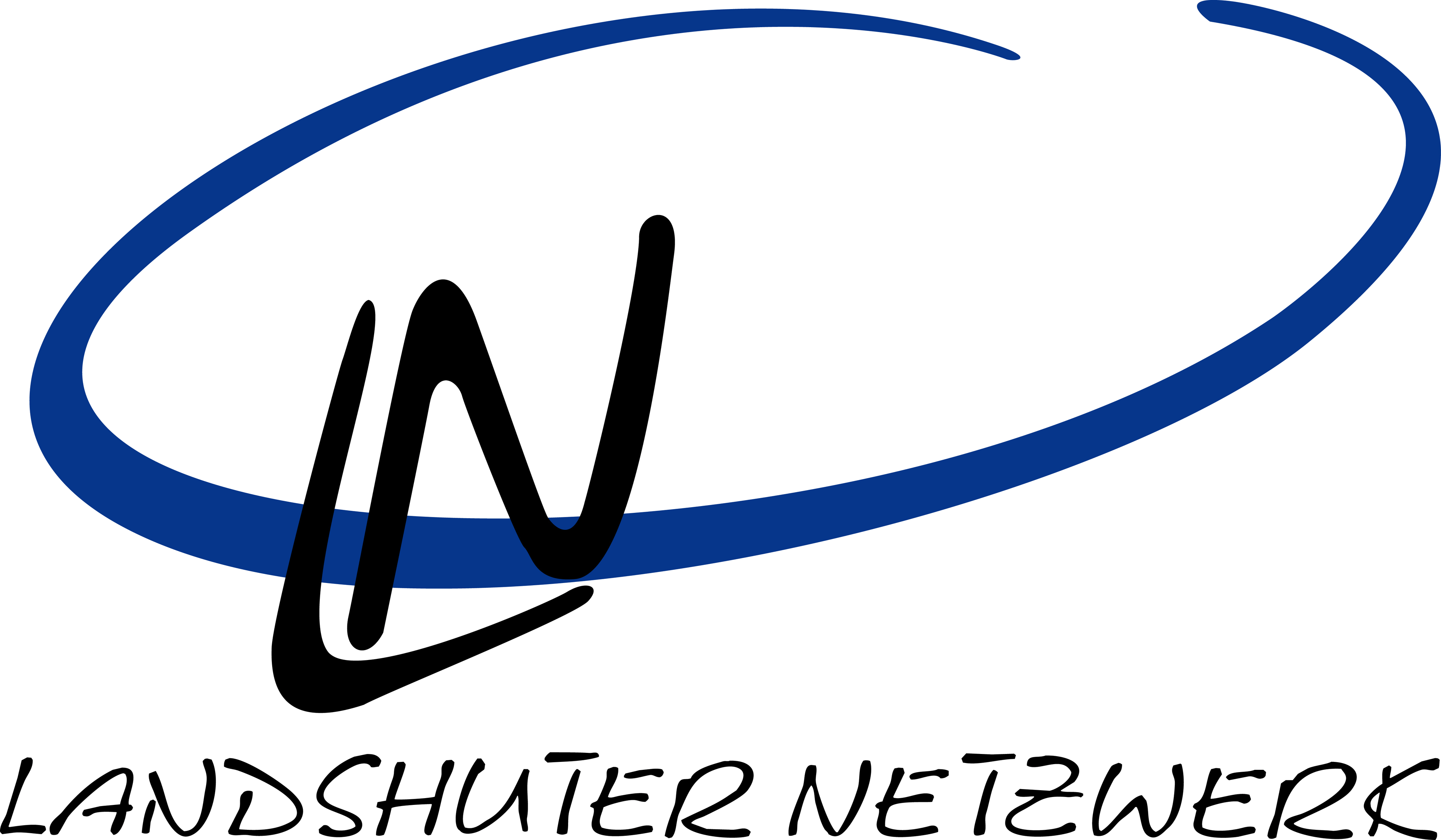 Landshuter Netzwerk Logo
